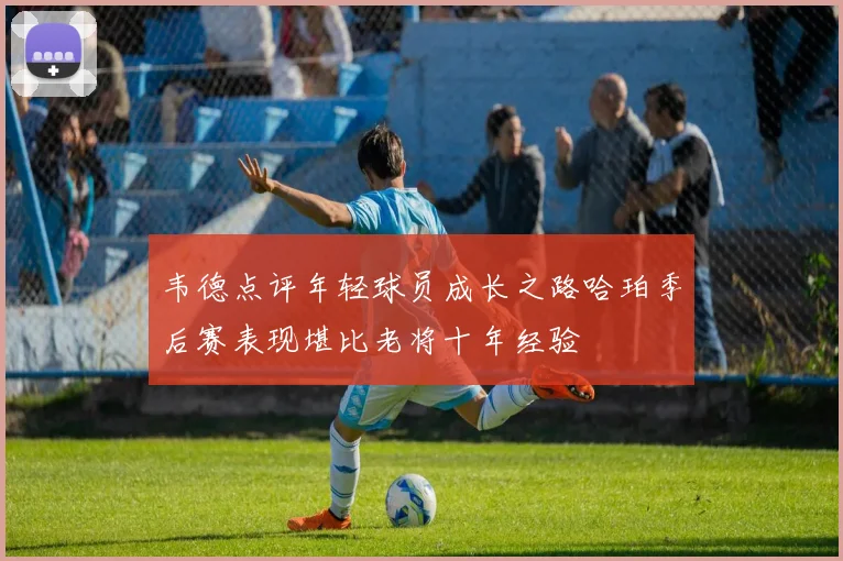 韦德点评年轻球员成长之路哈珀季后赛表现堪比老将十年经验